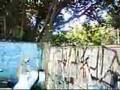 Akatsuki Live Parkour Clan - If Only We Could Fly?