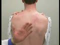 respiratory / physical assessment