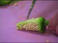 Saving Heirloom Pepper Seeds