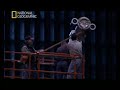 [1] Ciencia al desnudo - Grandes sondas espaciales
