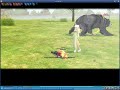 マビノギ動画