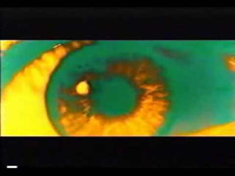 The Vaselines - Dying For It