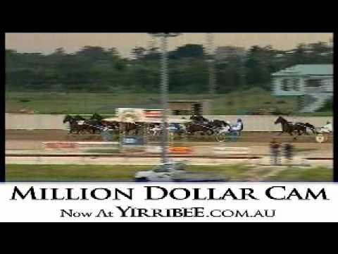 racing results cheltenham