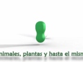 Video presentacion para jelly jamm.mp4