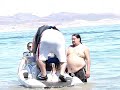 VACA COP ON SEEDOO PART 2 VACA COP ON SEEDOO PART 2