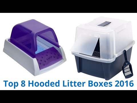 Best Covered Litter Box