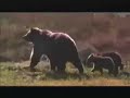 Family Outing for the Grizzlies