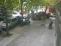 Female Driver Makes Mistake