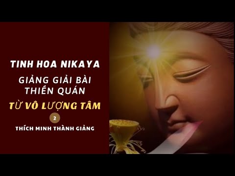 Tinh Hoa NIKAYA - Giảng Giải Bài Thiền Quán - Từ Vô Lượng Tâm 2