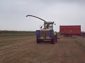 Silage 2007 p/t 2 Silage 2007 p/t 2