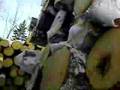 logging in northern aroostook county maine