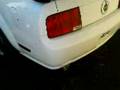 Mustang GT du 972 (1)