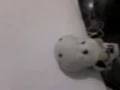 videos de Cow Live Action #4