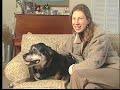 2005 Animal Hall of Fame - Companion