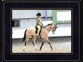 ponies for 2010team Webster .wmv