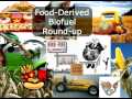Bio Fools2: Food Vs. Fuel Vs. Cellulose To The Rescue?  1/2
