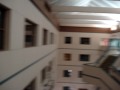 Paper Airplanes