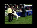 Allenies Maverick Winning the Limit Class at WELKS Allenies Maverick Winning the Limit Class at WELKS