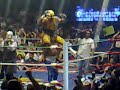 VILLANO VS BLUE PANTHER