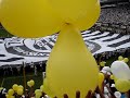 Bandeira da torcida jovem do Santos F.C