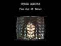 Chris Squire - Silently Falling (excerpt)