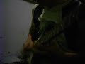 Eugene\ Eugene\