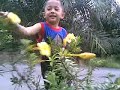 Bunga Bunga
