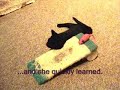 The Kitten Without A Left Foot
