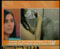 Chiki Chiki peluqueria canina