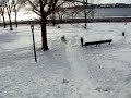 Snow Day video 4