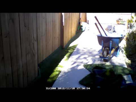 how to drive a yard dog