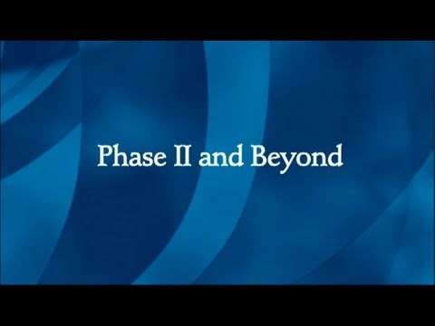 What Happens After Autism Diagnosis? Phase II of Diagnosis and Beyond