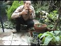 Le lapin fait boing.flv Le lapin fait boing.flv
