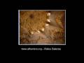 videos de alhambra.wmv