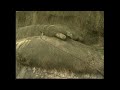 Documentary on Buddha Statues of Sri Lanka part 04.qt