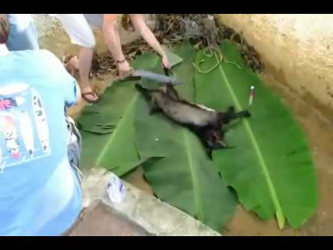 girl killing goat