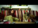 zari and the dog Panasonic lighting test DVX 100 AE