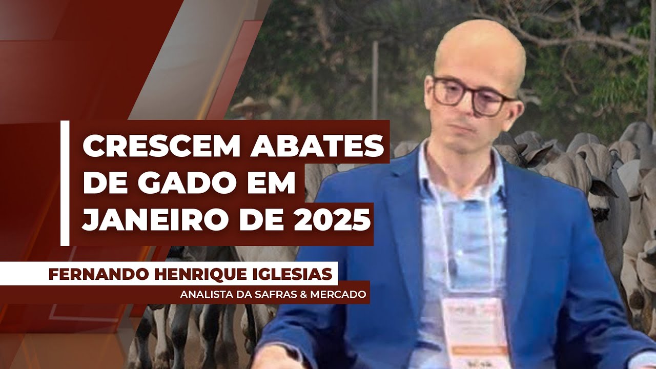 Abates de gado em janeiro foram recorde para o mês neste 2025