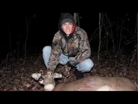 how to harvest adrenaline