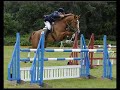 Bubbles Showjumping Mix!