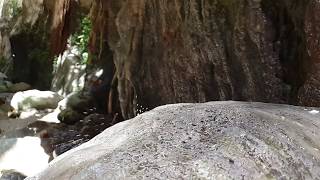 VIDEOS + 36 Avakas George Trail Paphos - Water features Slow Modus 18.06.2020 014