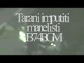 Taran-manelist-danse