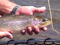 Fly fishing the Dream Stream Fly fishing the Dream Stream