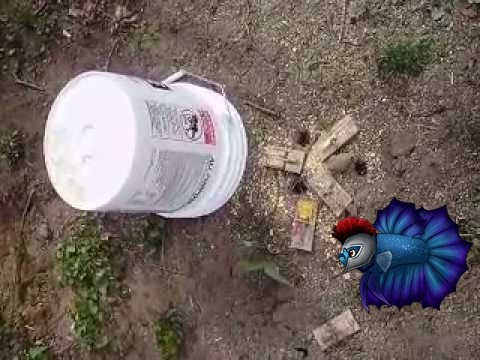 how to get rid voles