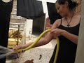 Akiles y el agua