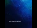 Pinch - Brighter Day (Instrumental Version)