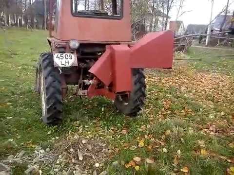 kapokle -