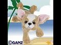 Webkinz party we got the party Webkinz party we got the party