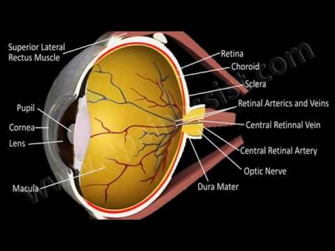 how to relieve ischemic pain