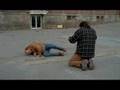  - MovieZen Video